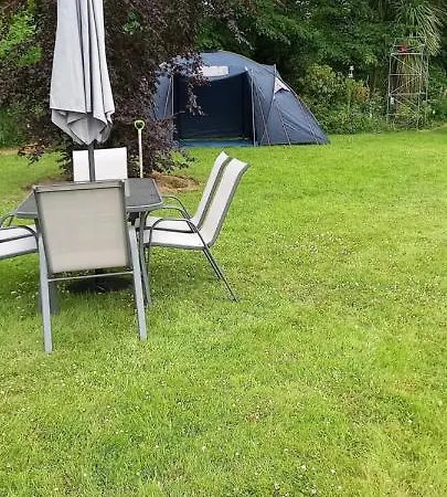Large Family In Wexford Marys * Enniscorthy